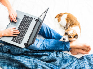 Man in jeans working from home on laptop with a small brown and white dog near his feet.
